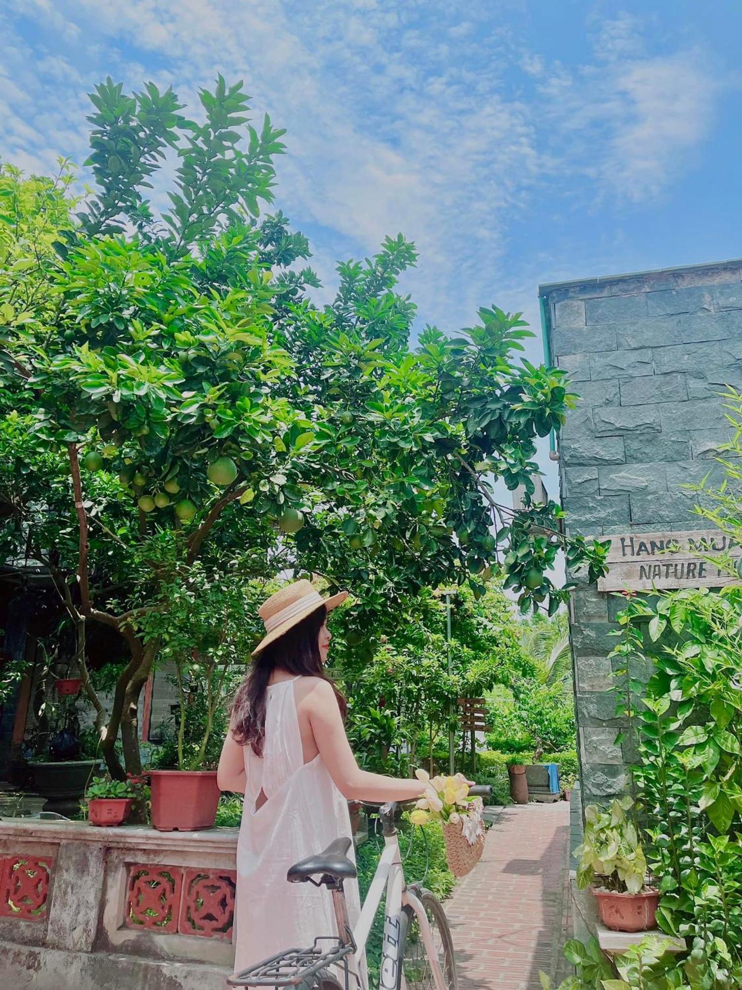 Hang Mua Nature Homestay Ninh Binh Exterior photo