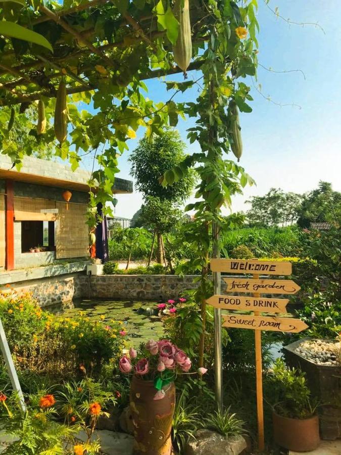 Hang Mua Nature Homestay Ninh Binh Exterior photo