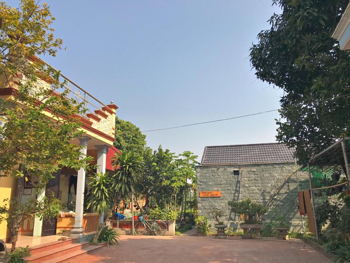 Hang Mua Nature Homestay Ninh Binh Exterior photo